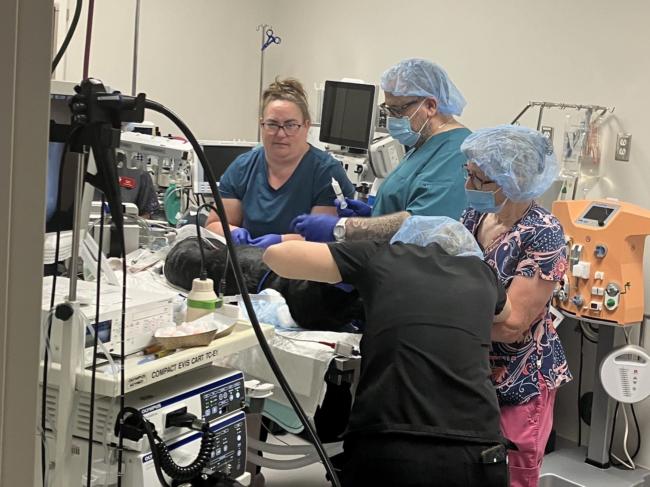 Two women in green scrubs, one in pink scrubs and one in black scrubs attend to a black dog on a gurney in a hospital room.