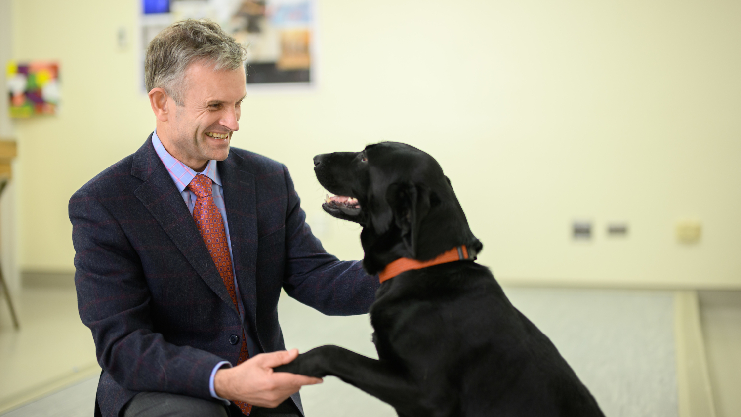 Dr. Lascelles shakes hands with a happy dog