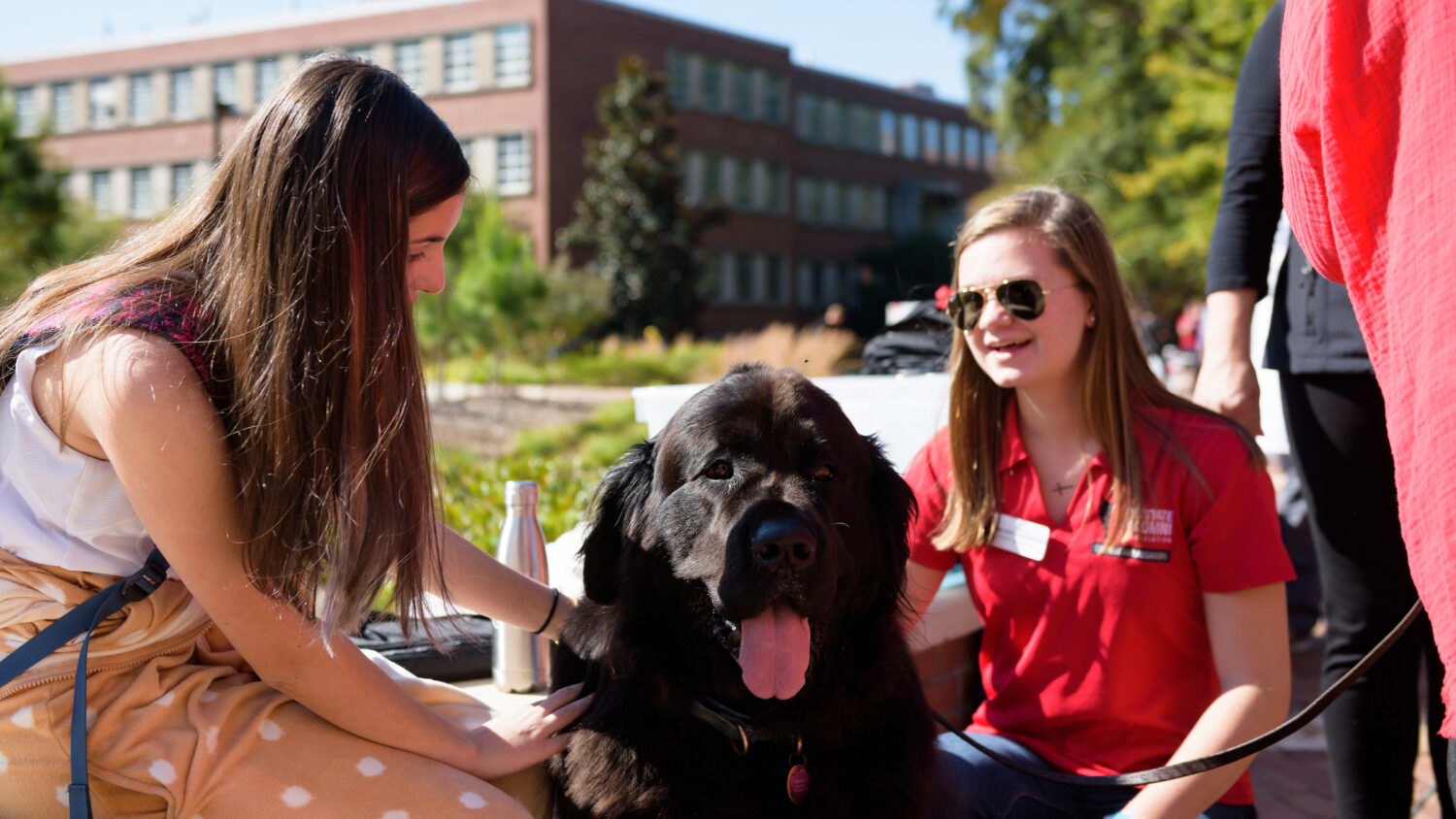 two girls speak while petting a large black dog
