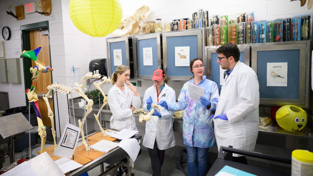four people in various colored lab coats discuss the contents of a report while looking at a bone structure in a lab setting