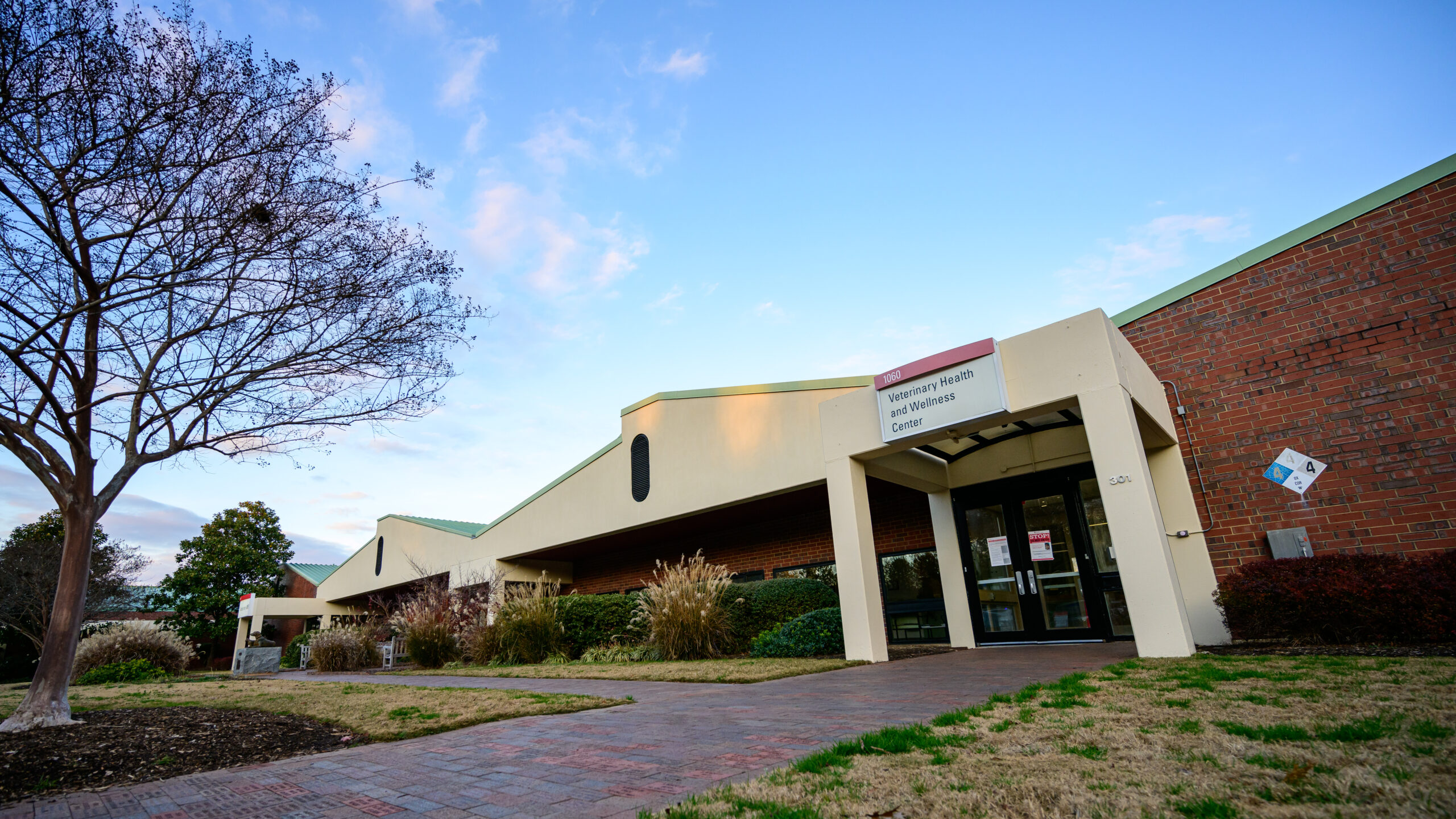 cvm veterinary health and wellness center