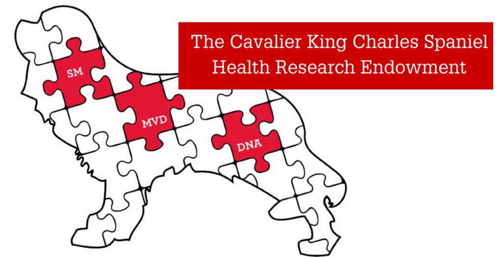 Cavalier King Charles Spaniel (CKCS) Health Research Endowment