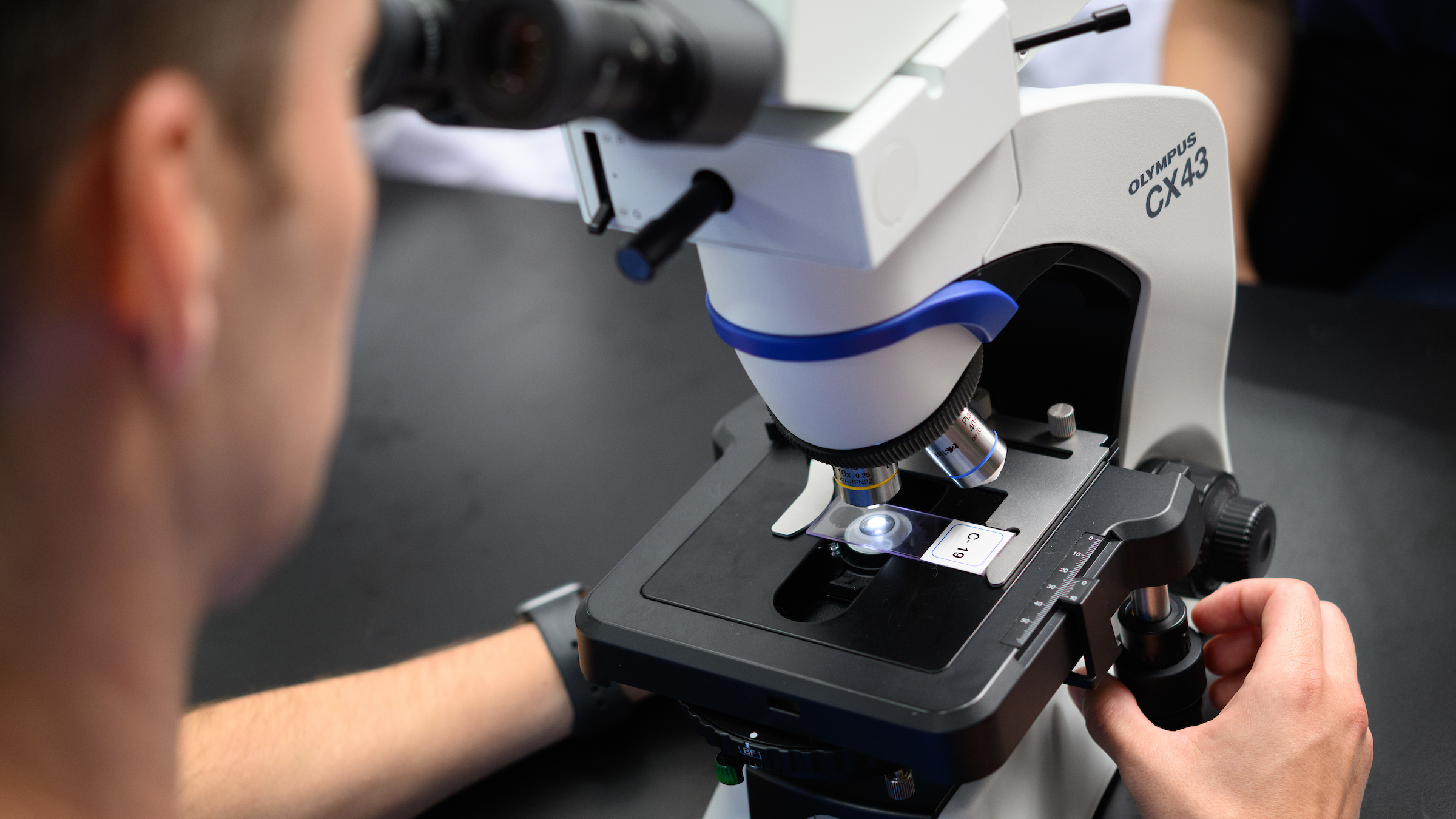 A student looks into a microscope.