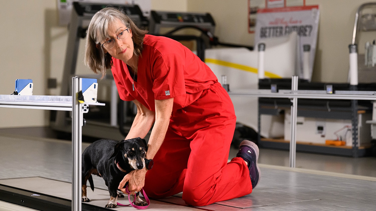 Doctor Olby assists older dog