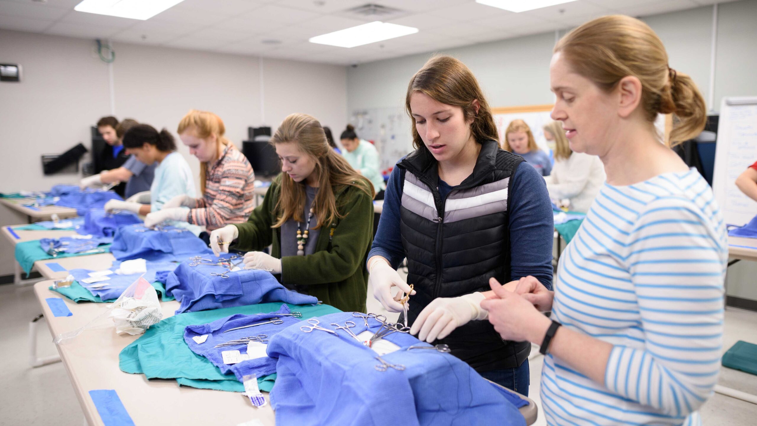 vet students practicing surgery