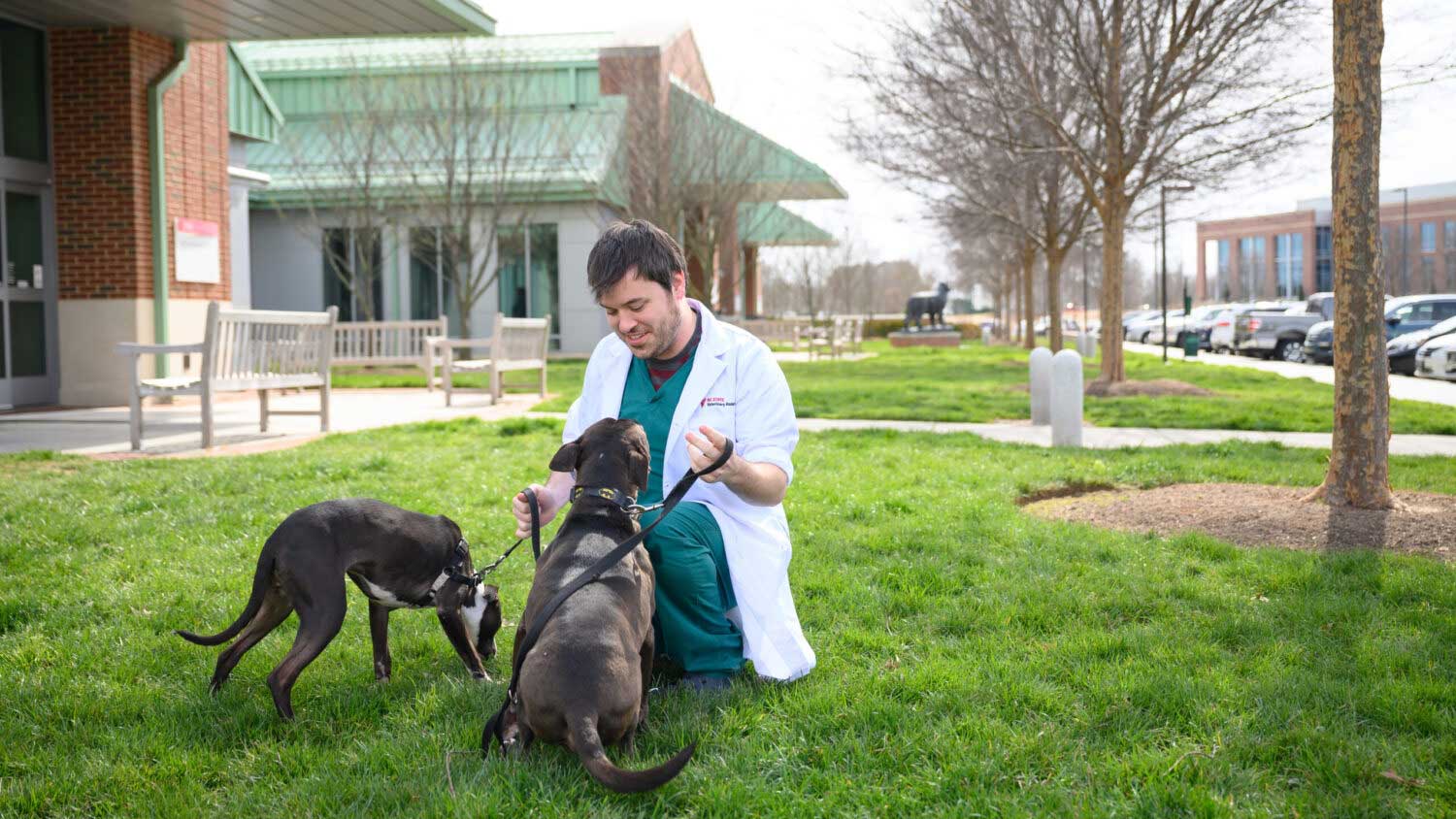 a vet with two dogs