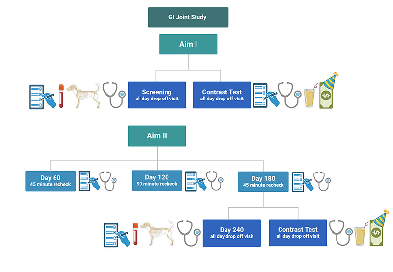 owner flow chart