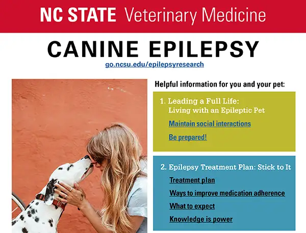 Canine Epilepsy Brochure