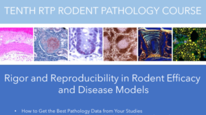 Rodent Pathology