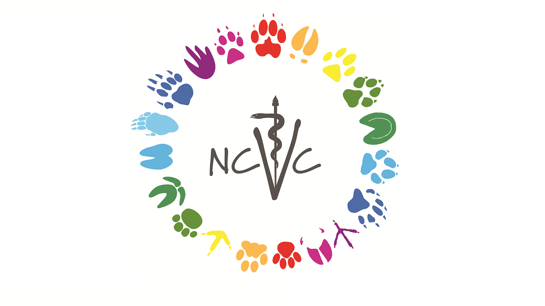 NCVC_logo