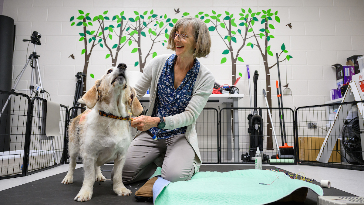 Dr. Natasha Olby is world-renowned for her research into aging dogs.