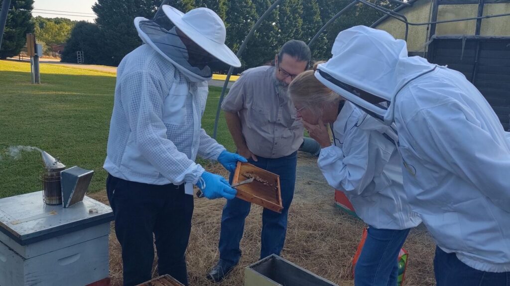 veterinarians inspecting a bee hive