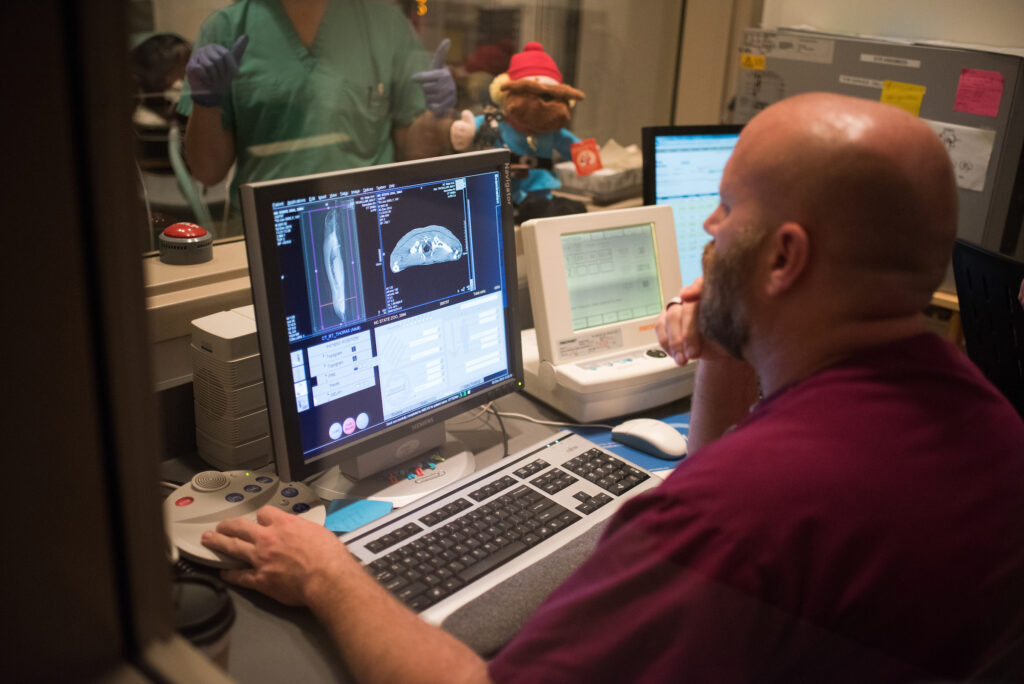 A radiology technician looks at a CT scan on a desktop computer.
