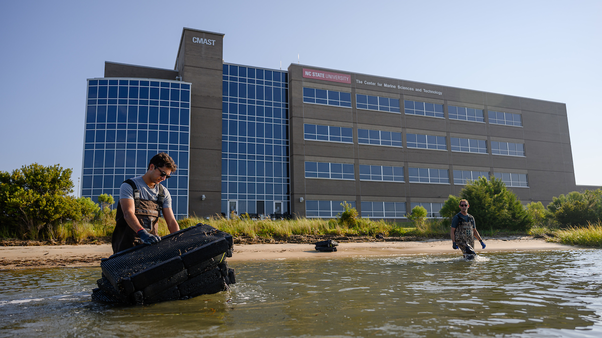Dr. Tal Ben-Horin and Ph.D. student Zakir Bulmer relocate oyster bags from CMAST to Core Sound as part of a study into the disease resistance of different genetic lines of oysters.