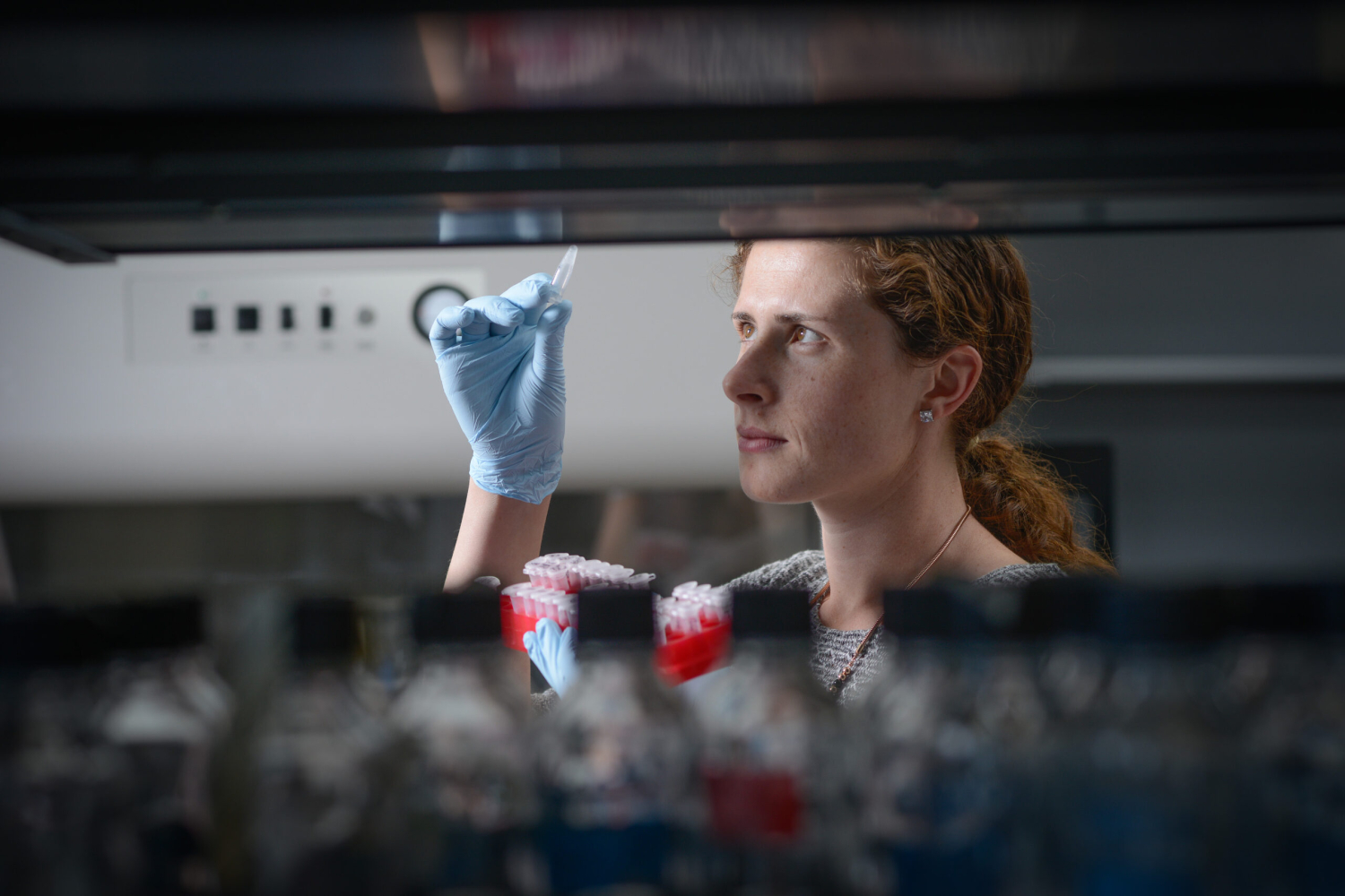 Dr. Kelly Meiklejohn, a female scientist with curly hair pulled back in a ponytail, examines a vial in a lab.