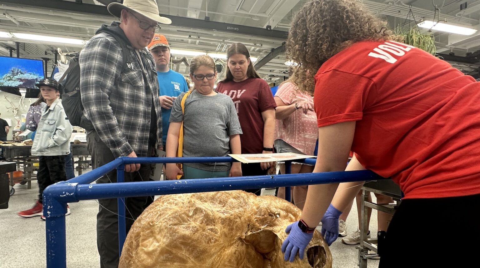 a family watches a volunteer explain apiece of animal anatomy in an open house exhibit