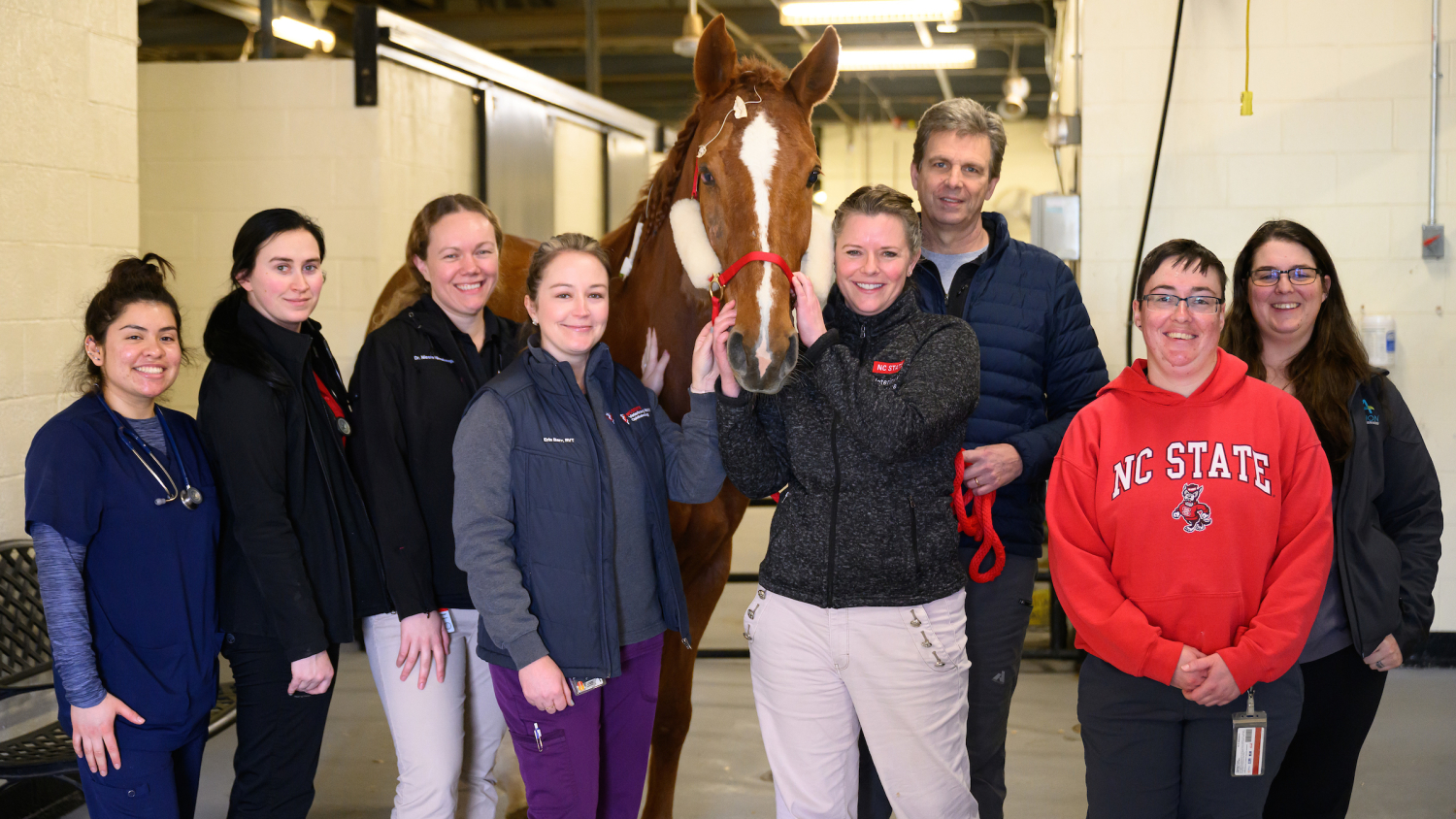 Members of the NC State College of Veterinary Medicine ophthalmology and Large Animal Hospital teams pose with Myra, a brown Dutch warmblood mare.