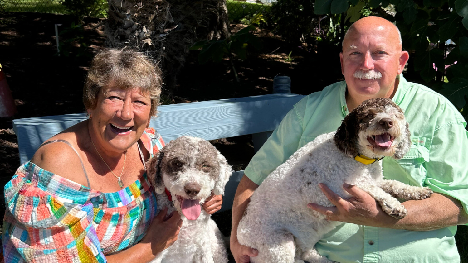 Dr. Jackie Jaloszynski, left, sits with her Lagotto Romagnolo puppy in her lap. Her husband, Sid Bragg, is sitting at the right with the couple's other Lagotto Romagnolo puppy in his lap.