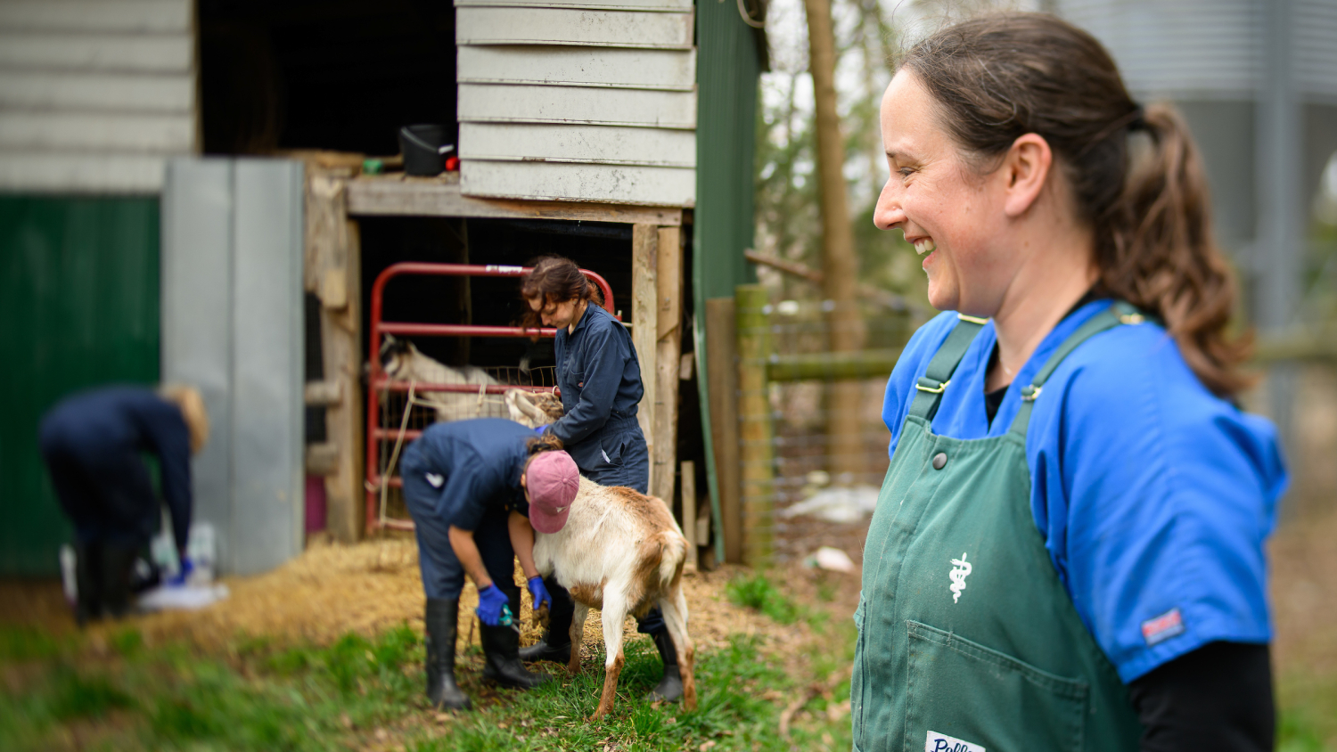 In the right foreground, Dr. Danielle Mzyk smiles at two students working with a goat on a farm.