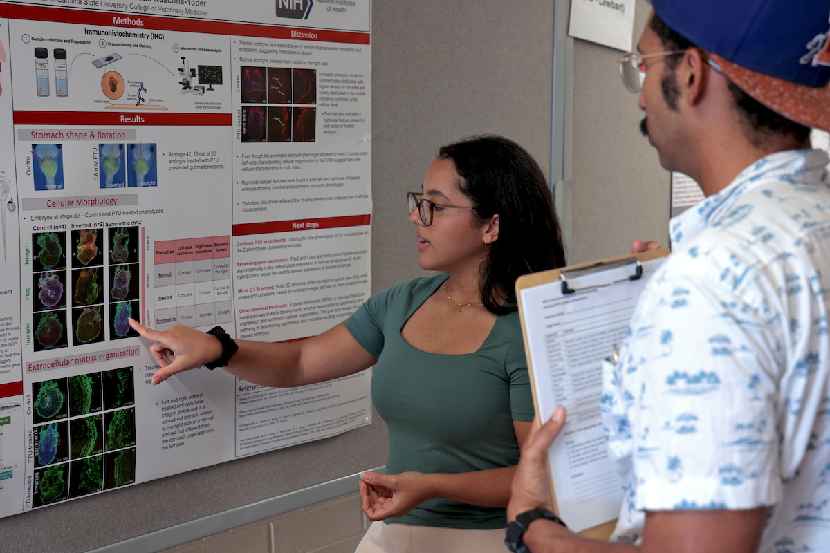 A student presenting their researcher.