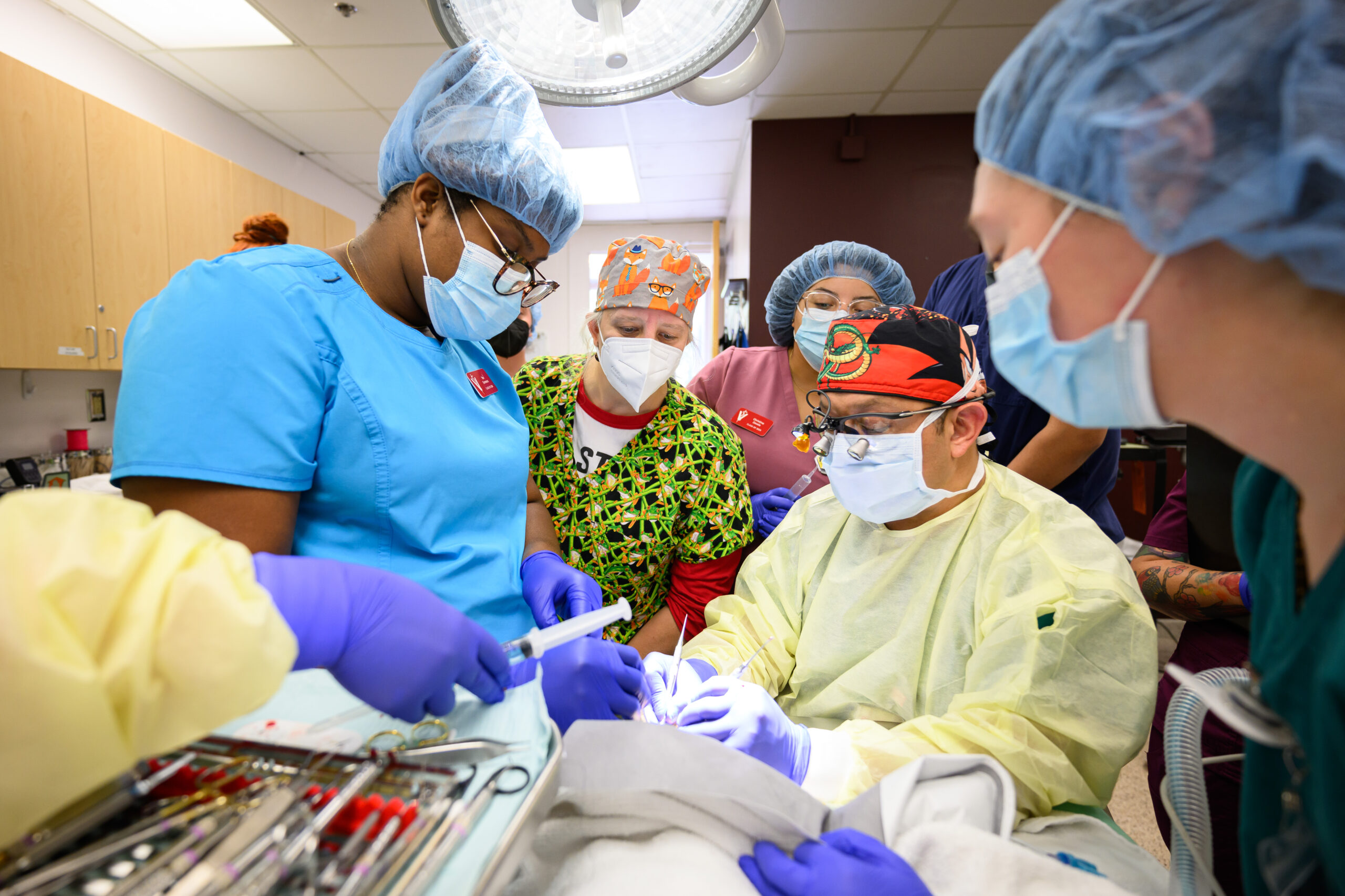 Five adults in surgical gear perform a medical procedure on an otter.