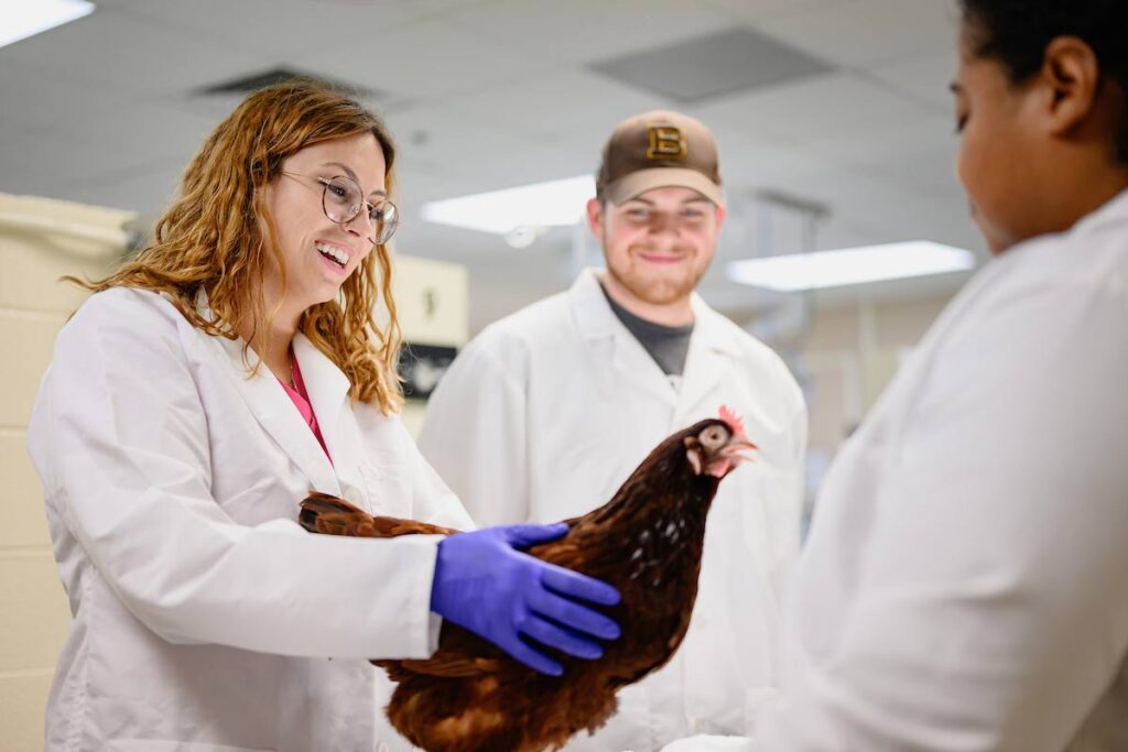 students handling chicken
