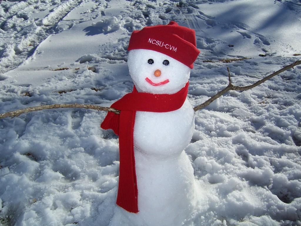 snowman