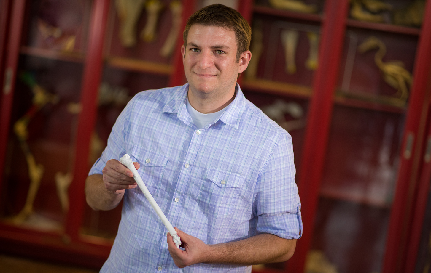 man in blue shirt in front of red shelves, holding bone