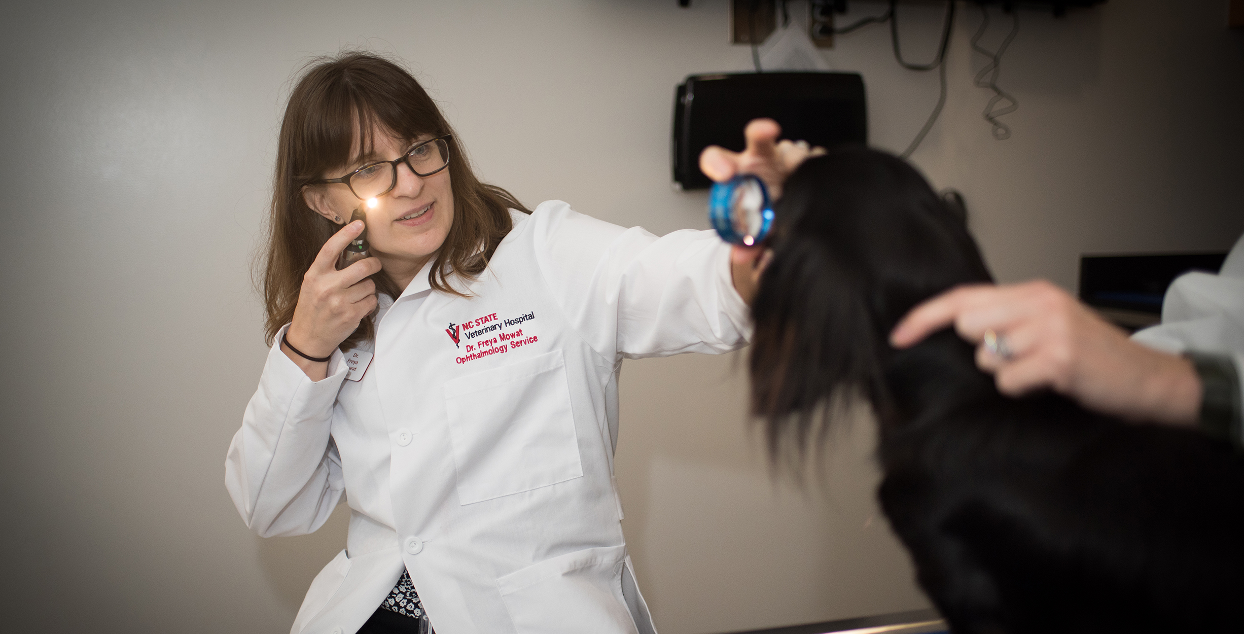 Veterinarian examines eye on a black dog