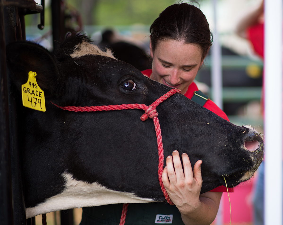 Danielle Mzyk strokes cow