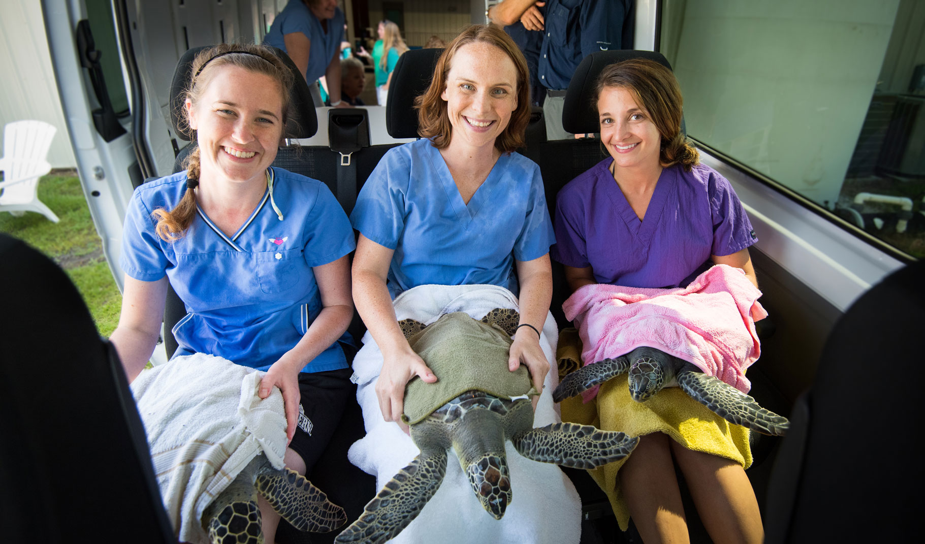 team rescues turtles