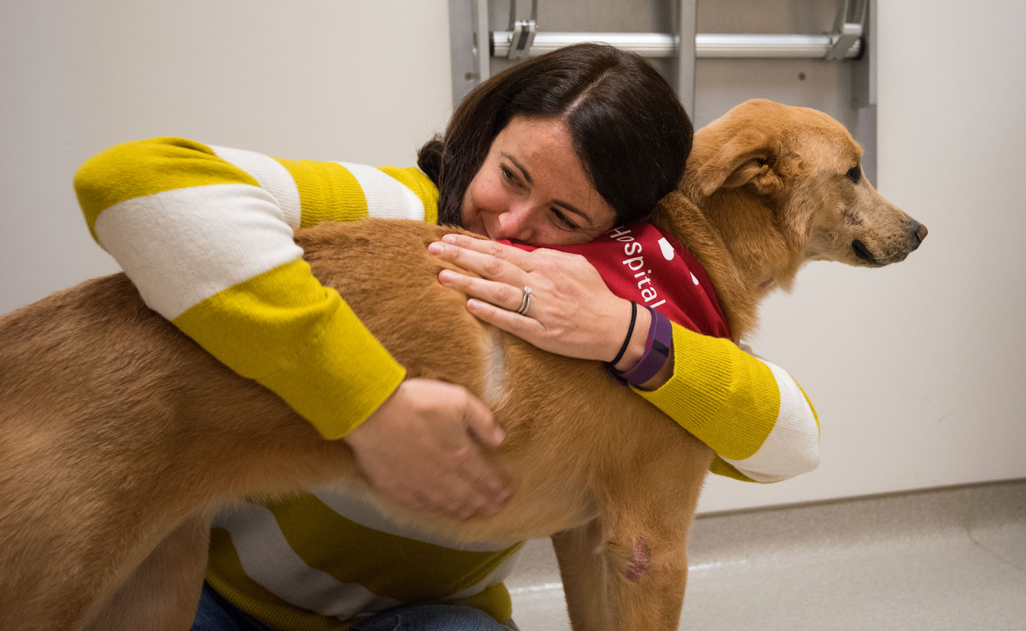 Cady the dog recovers from bone marrow transplant
