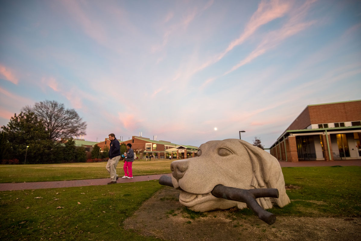 dog statue outside CVM