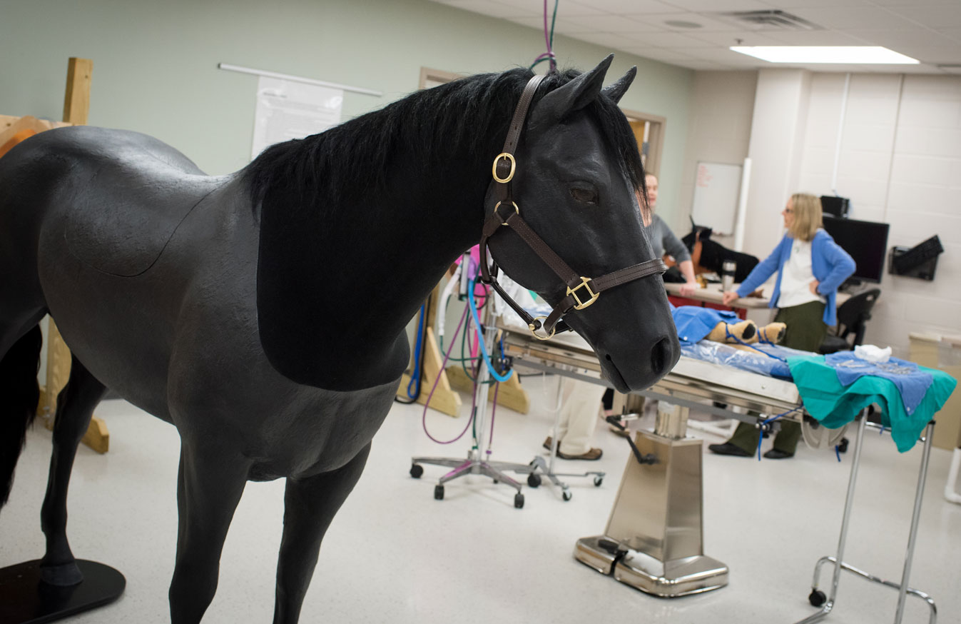 Ms. Faux the horse simulation