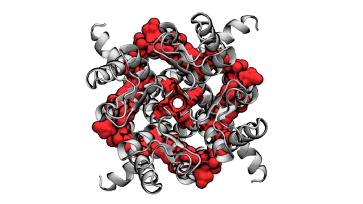 illustration of ion potassium channel in heart