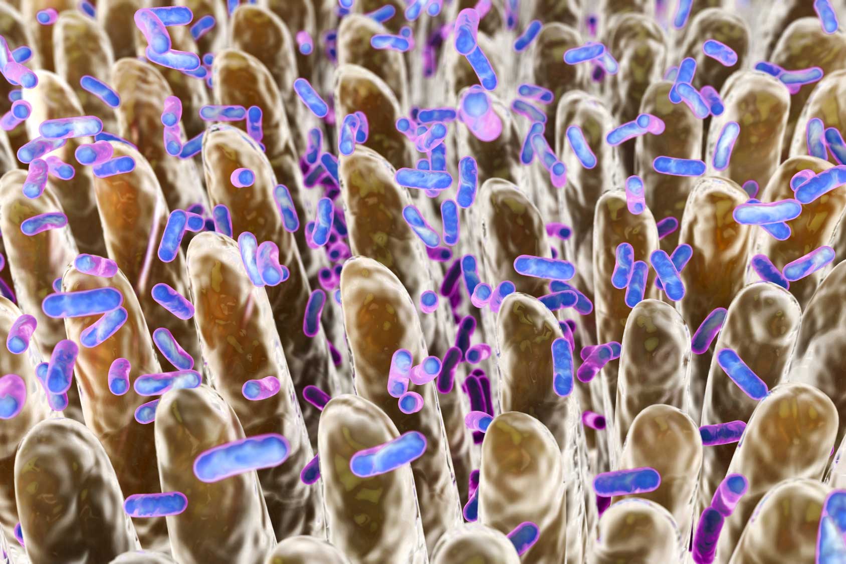 microscopic view of digestive disease