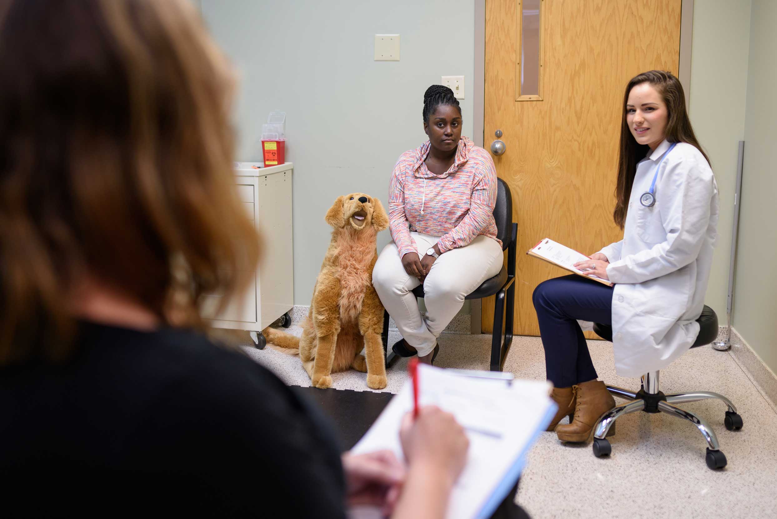 veterinarian communication class in session