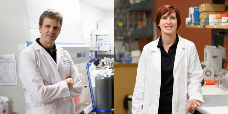 Brian Gilger, professor of ophthalmology and Lauren Schnabel, assistant professor of equine orthopedic surgery