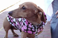 Ruby