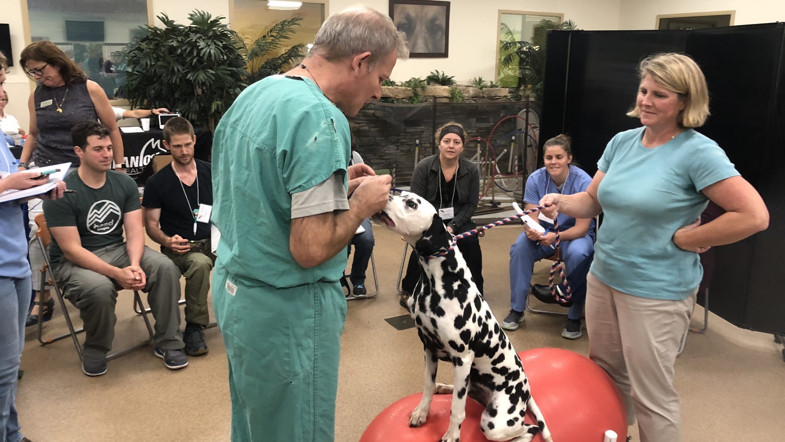 Certified Companion Animal Therapist (CCAT) Program