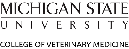 msu logo