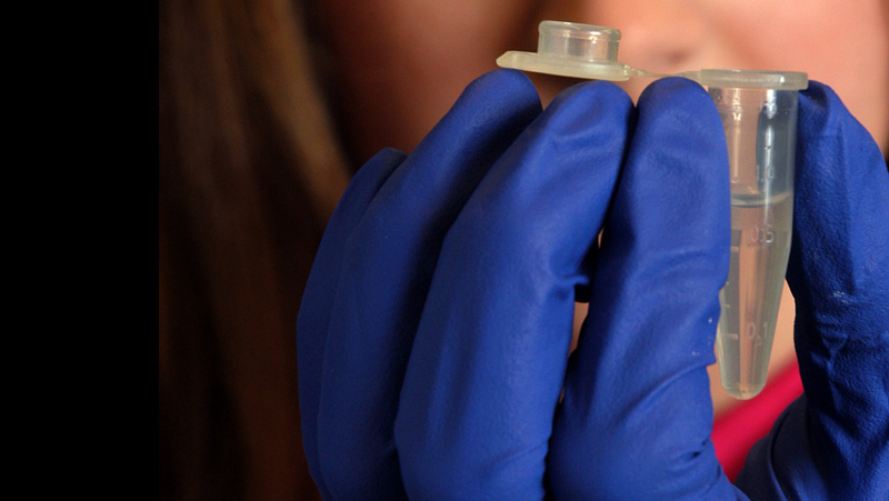 close-up of a researcher handling specimen