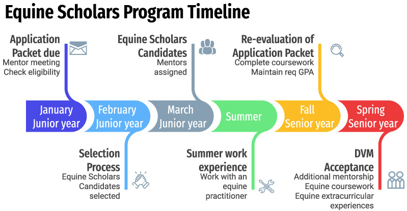 equine scholars program timeline