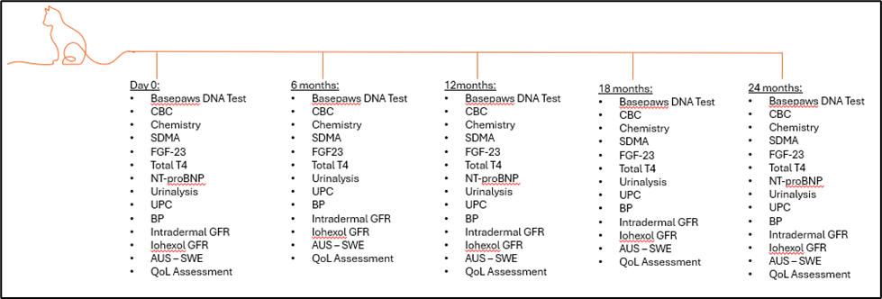 catnip study testing requirements
