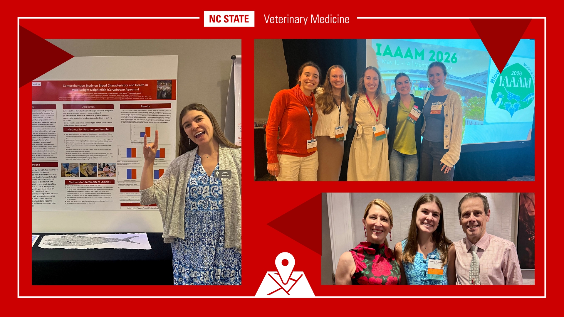 A red graphic with a white logo of NC STATE veterinary medicine with three pictures. One, Sydney MacDonald in blue and white dress and gray cardigan throws up the Wolfie as she stands in front of her research poster. Two, five women stand in front of a screen that says IAAAM 2026. Three, student Sydney MacDonald in blue and white dress stands between Dr. Diane Deresienski in bright pink flowered shirt and Dr. Greg Lewbart in pink tie and light shirt.