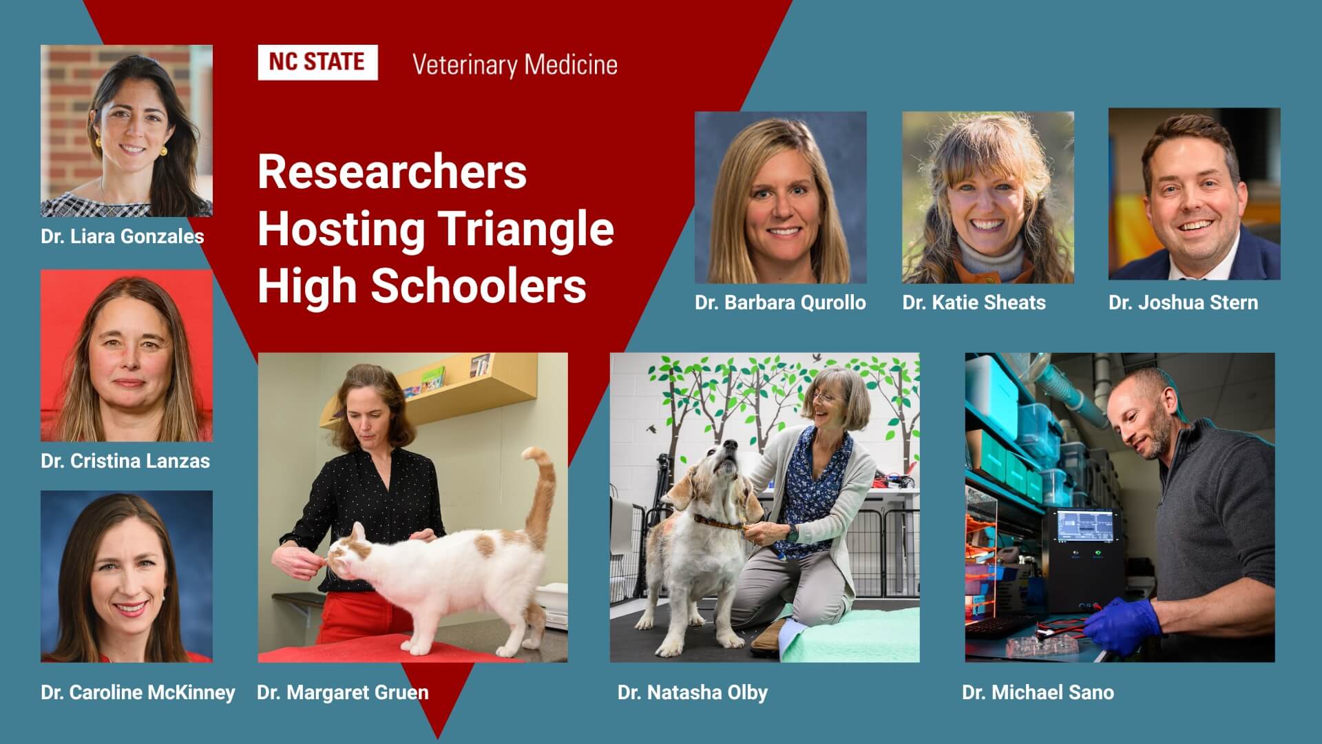 A blue and red graphic with headshots of Dr. Liara Gonzalez, Dr. Cristina Lanza, Dr. Caroline McKinney, Dr. Barbara Qurollo, Dr. Katie Sheats and Dr. Joshua Stern and a picture of Dr. Margaret Gruen petting a white cat, Dr. Natasha Olby kneeling beside a brown and white dog and Dr. Mike Sano working in his lab.